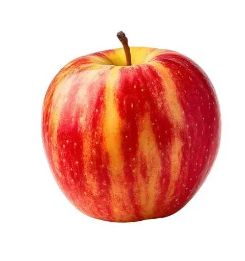 [136016] Pommier Karneval Buisson Pot C10 ** Résistant aux maladies **