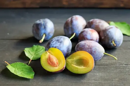 [101401] Prunier Altesse Simple HAUTE TIGE (syn. Prune de Namur ou Quetsche d'Alsace) **Autofertile**