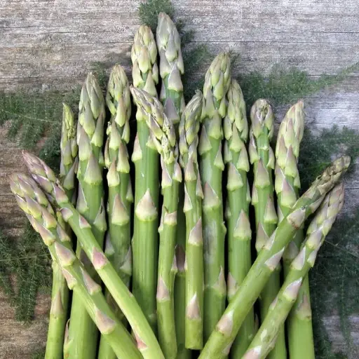 [133837] Asparagus off. Mary Washington Pot C1.5