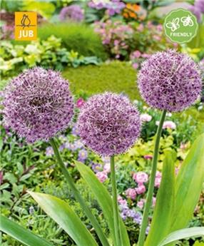 [145132] Allium Party Balloons  * 1 pc 16/18 * NEW 2024