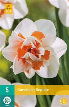 [143889] Narcisse Replete * 5 pc cal.12/14