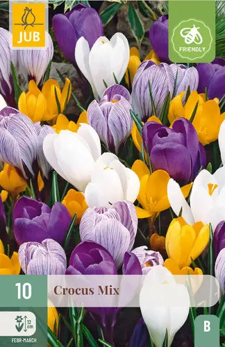 [130752] Crocus grandes fleurs mix * 10 pc cal.8/9