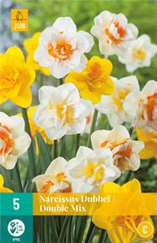 [135371] Narcisse double double mix * 5 pc cal.12/14