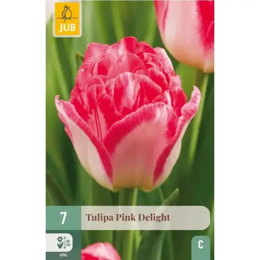 [131086] Tulipe Pink Delight 7 pc New 2025