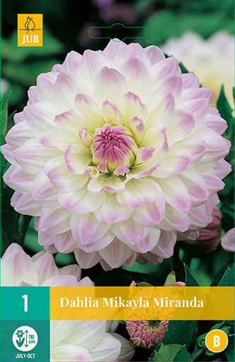 [138218] Dahlia Mikayla Miranda * 1 Pc ** New 2021 **