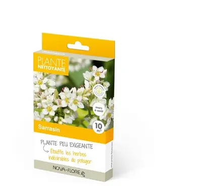 [135675] Sarrasin 10 m²  ** Engrais Vert **