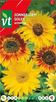 [123962] Soleil Autumn Time (VT)