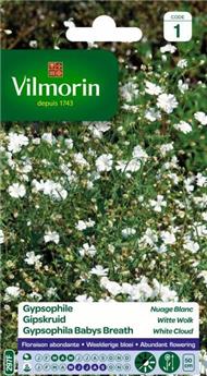 [142592] Gypsophile Nuage Blanc (Vilm)