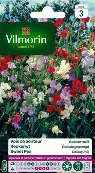 [131489] Pois De Senteur Galaxie Varié  (Vilm)