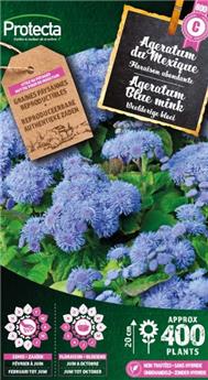 [142523] Ageratum du Mexique ( Protecta C )