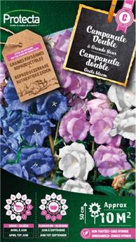 [142527] Campanule Double variée ( Protecta C )