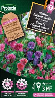 [141312] Clarkia élegant double ( Protecta C )