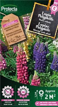 [141320] Lupin Vivace Polyphille  ( Protecta C )