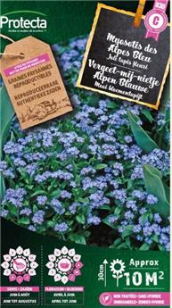 [142539] Myosotis des Alpes  Bleu ( Protecta C )
