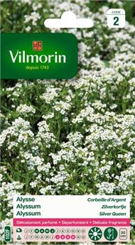 [131438] Alysse Corbeille D´Argent (Vilm)