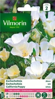 [142867] Eschscholtzia Blanc - Vilm 2