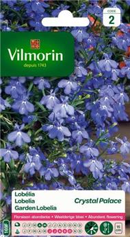 [132811] Lobélia Crystal Palace  (Vilm)