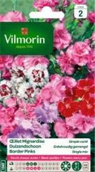 [136176] Oeillet Mignardise Simple Varié  (Vilm)