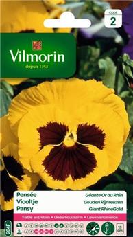 [131507] Pensée Géante Or Du Rhin (Vilm)