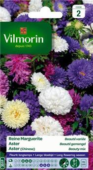 [131533] Reine Marguerite Beauté Varié (Vilm)