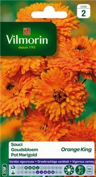 [139085] Souci Orange King  (Vilm)