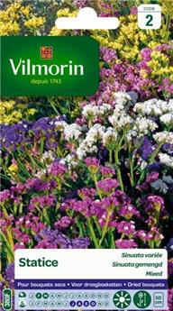 [136172] Statice Sinuata Variée  (Vilm)