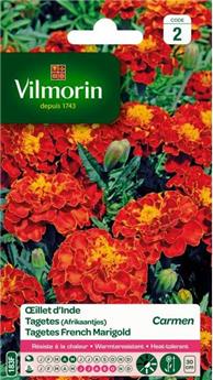 [131497] Oeillet D´Inde Carmen (Vilm)