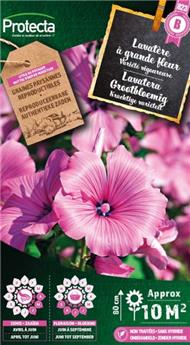 [142535] Lavatère à grande fleur ( Protecta B )