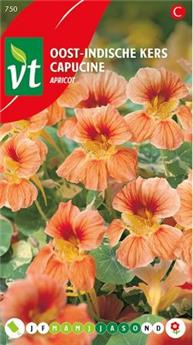 [123940] Capucine Apricot (VT)