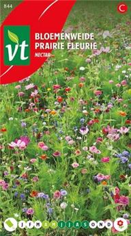 [123977] Espace Fleuri Nectar (VT)