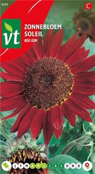 [124010] Soleil Haut Red Sun (VT)