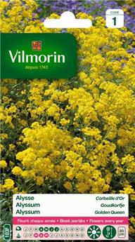 [131437] Alysse Corbeille D´Or (Vilm)