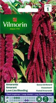 [131436] Amarante Queue De Renard  (Vilm)