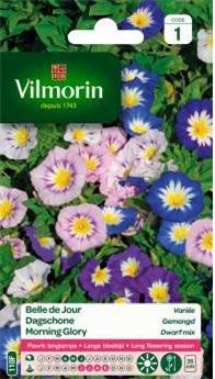 [131447] Belle De Jour Variée  (Vilm)