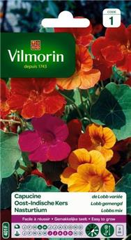 [131434] Capucine De Lobb Variée  (Vilm)
