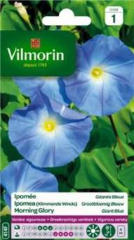 [131457] Ipomée À Grande Fleur Bleue (Vilm)