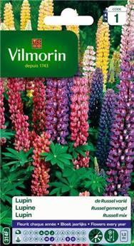 [131495] Lupin De Russel Varié  (Vilm)