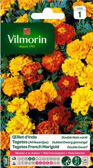 [131483] Oeillet D´Inde Double Nain Varié  (Vilm)