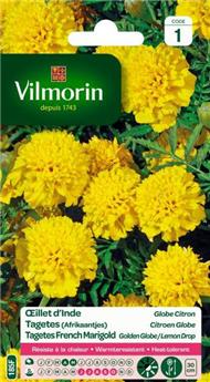 [131485] Oeillet D´Inde Globe Citron  (Vilm)
