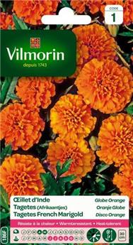 [131499] Oeillet D´Inde Globe Orange (Vilm)