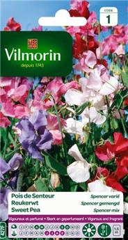 [131469] Pois De Senteur Spencer Varié  (Vilm)
