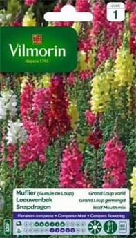 [136174] Muflier Grand Loup Varié  (Vilm)