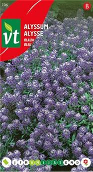 [123927] Alysse Bleu (VT)