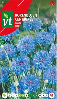 [123953] Centauree Bleuet Des Champs (VT)