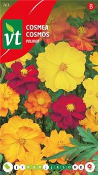 [123944] Cosmos Polidor (VT)