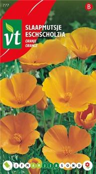 [123949] Eschscholtzia Orange (VT)