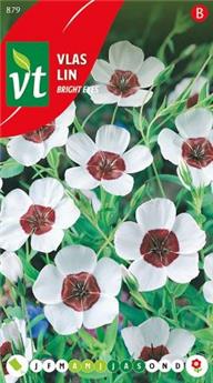 [123995] Lin Bright Eyes (VT)
