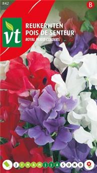 [123975] Pois De Senteur Royal Mix (VT)