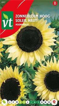 [124008] Soleil Haut Moonwalker (VT)