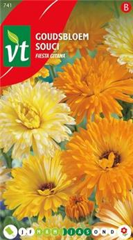 [123934] Souci Calendula Fiesta Gitana (VT)
